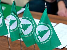 Партия «Зеленые» прошла перерегистрацию в Липецкой области