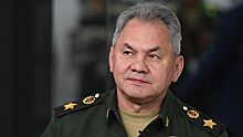 Шойгу призвал противостоять искажению военной истории