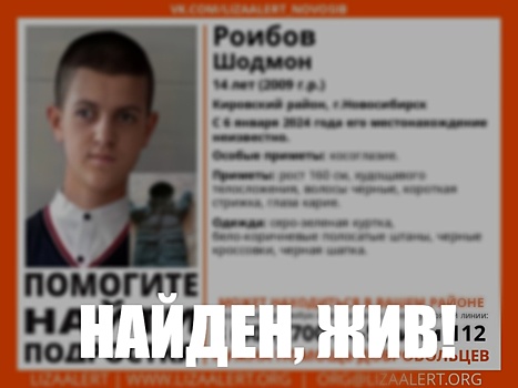 В Новосибирске нашли живым пропавшего 14-летнего школьника
