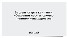 Звезды шоу-бизнеса дали старт масштабной кампании "Сохраним лес"