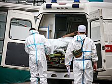 Ежедневный прирост новых заболевших COVID-19 в Волгоградской области составляет почти 320 человек