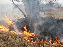 В Белгороде за август 26 раз загоралась трава