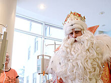 Эксперт: Дедов Морозов приглашают даже ко взрослым и животным