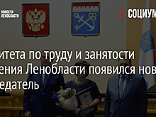 У комитета по труду и занятости населения Ленобласти появился новый председатель
