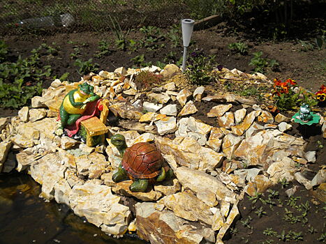 Скромно, но со вкусом: как облагородить пруд и альпийскую горку