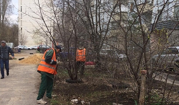 В Воронеже на субботник расчищать дворы города вышли 935 сотрудников управляющих компаний