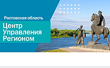 Чувствительны вдвойне: в мае донские чиновники отработали больше обращений граждан и лучше