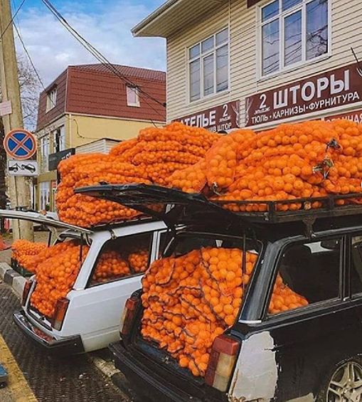 На Российско - Абхазской границе начался «мандариновый сезон».