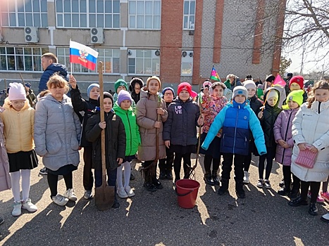 В выселковской школе высадили 70 деревьев павловнии (фото)