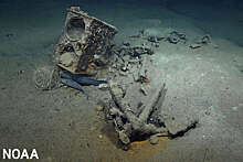 На дне Мексиканского залива найдено необычное китобойное судно XIX века