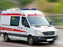 В Курской области мужчина подорвался на мине "Колокольчик" во время покоса травы