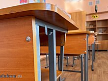 6 февраля в школах Пензенской области возобновят занятия