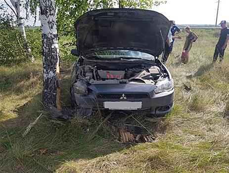 Двое детей пострадали в ДТП с Mitsubishi в Самарской области