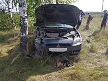 Двое детей пострадали в ДТП с Mitsubishi в Самарской области