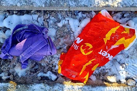 Мать расчлененного мальчика могла выдумать историю об отчиме