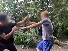 В Омской области подростки напали на 17-летнего инвалида