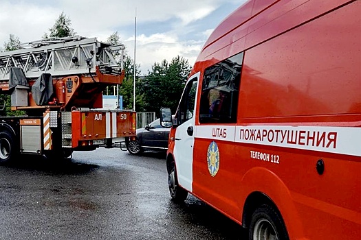 Двое детей пострадали при пожаре в Петербурге