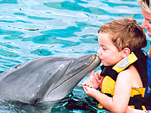 Дайджест научно-популярных мероприятий 27.11 – 03.12