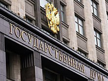 В Госдуме предложили отправлять пьющих родителей на принудительное лечение