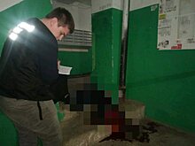 Убийство на Вишневой: Расследование завершено