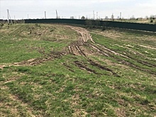 Подмосковным многодетным выделили земли на болоте, по которому должна пройти трасса