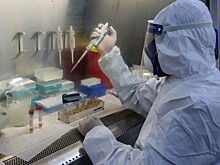 В Словакии умер американец с подозрением на коронавирус