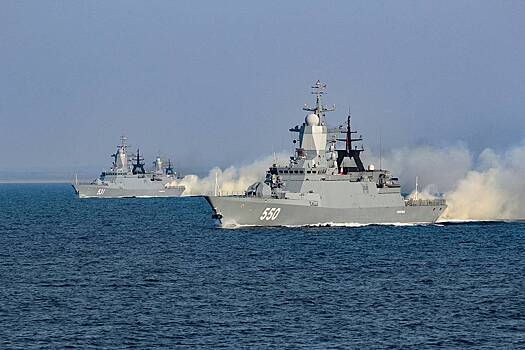 В Совфеде заявили о необходимости усилить один из флотов