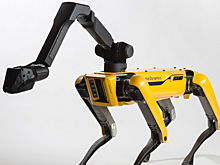 Boston Dynamics начнет продажи роботов-собак