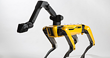 Boston Dynamics начнет продажи роботов-собак