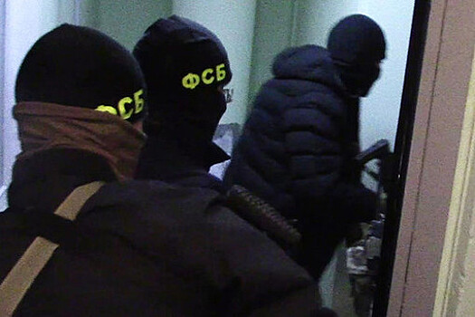 Силовики провели обыски у психолога Арчагова в рамках дела против политого Кагарлицкого