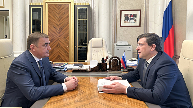 В Нижегородской области планируют создать профессиональную команду по следж-хоккею