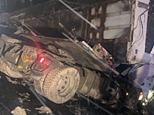 В Путятинском районе самарец на DAF вылетел в кювет и погиб