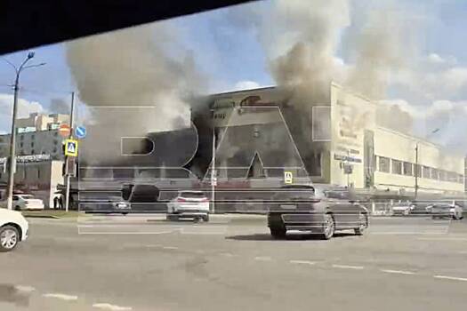 Крупный пожар в торговом центре Подмосковья сняли на видео