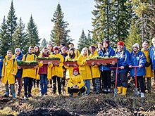 Подведены итоги грантового конкурса СИБУРа для школ и школьных лесничеств
