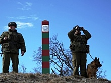 Контрабандист врезался в дерево, убегая от белгородских пограничников