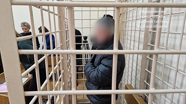 В Курске обвиняемого в покушении на убийство 4-летнего ребёнка заключили под стражу