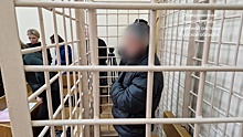 В Курске обвиняемого в покушении на убийство 4-летнего ребёнка заключили под стражу