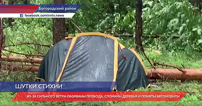 Палаточный лагерь в Богородском районе завалило рухнувшими деревьями