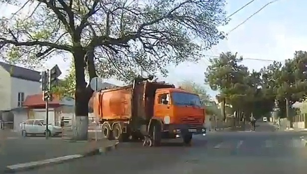 Ребенок чудом уцелел, попав под колеса мусоровоза в Геленджике. Видео