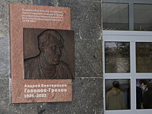 В Нижнем Новгороде открыли мемориальную доску основателю Института прикладной физики РАН