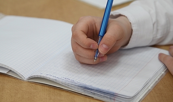 3 школьницы из Волгоградской области написали лучшие сочинения в России