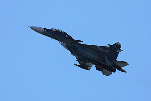 В Минске заявили, что белорусская армия в ближайшее время получит новые самолеты из РФ