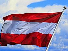 Новый канцлер Австрии назвал главные приоритеты политики кабмина