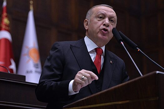 Эрдоган заявил, что операцией в Сирии и Ираке Турция “заботится о себе”
