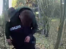 Полицейские в Приморском районе Петербурга помогли мальчику отбиться от двух напавших на него алабаев