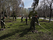 Ко Дню Победы в Самаре установят кашпо с цветами