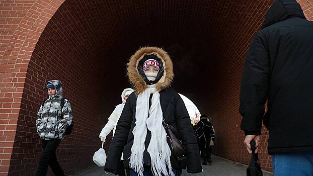 Метеоролог Позднякова призвала москвичей меньше гулять из-за аномальных морозов