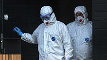 Эксперт спрогнозировал спад коронавируса в России