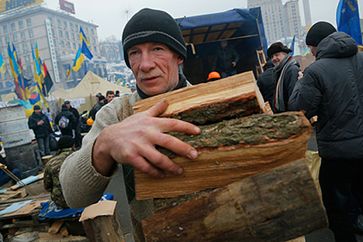Западная Украина вырубает леса ради Европы