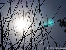 Каким будет март в Свердловской области: прогноз Гидрометцентра